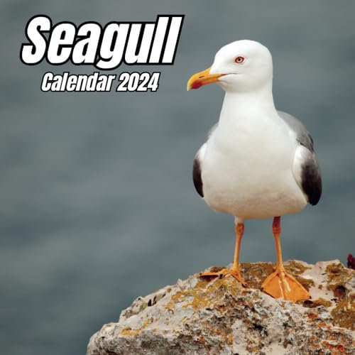 Seagull Calendar 2024: 14 Months Organizer For Home & Office , Mens , Womens , kids