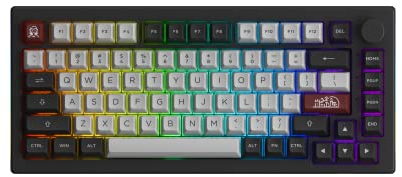 Akko Dracula Castle 5075B Plus Wireless Gaming Tastatur | LED RGB mit PBT-Tastenkappen | 2.4GHz Bluetooth | USB-C kabelgebundene Tastatur | V3 Cream Blue Pro