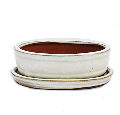 Exotenherz - Bonsai-Schale mit Unterteller Gr. 2 - hellbeige - oval - Modell O7 - L 15,5cm - B 12cm - H 4,5cm