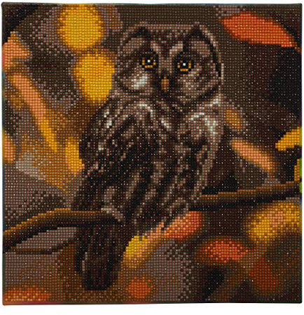 Craft Buddy Crystal Art Tawny Owl, 30x30cm Crystal Art Kit, Other Material, Assorted