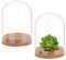 NBEADS 2 ensembles Eternal Fleur Verre Affichage Dôme Cloche, Présentoir en Verre avec Bouchons en Liège Demi-Rond en Verre Transparent Vitrine Décoration Cloche pour Mariage Saint Valentin, 12x9 cm