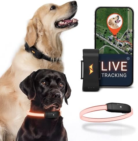 PAJ GPS - LED Leuchthalsband + GPS Tracker - inkl. 3 Monate Premium ABO | Doppelte Sicherheit, weltweite Live-Ortung + Sichtbarkeit bei Nacht, Mini GPS-Tracker 4G für Hunde, Weglaufalarm, 100% wasser