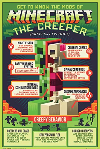 GB eye Poster Creepy Behavior Minecraft