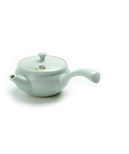 Tetera Sencilla de Color sólido con asa Lateral, Serie de teteras, Tetera Individual con Filtro, Juego de té Kung Fu de cerámica