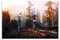 MEZUMI Life Is Strange Game Leinwand-Poster Schlafzimmer Dekor Sport Landschaft Büro Zimmer Dekor Geschenk ungerahmt 30 x 45 cm