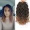 Nu Locs Lot de 6 paquets de fausses dreadlocks au crochet (20 mèches/paquet) #T1B/27, 30,5 cm
