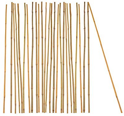 BigDean 25x Pflanzstab Bambusstab 105 cm x 8-10 mm Bambus Rankhilfe Pflanzstab Tonkinstab 100% Naturprodukt Pflanzstäbe Bambusstäbe Bambusstangen