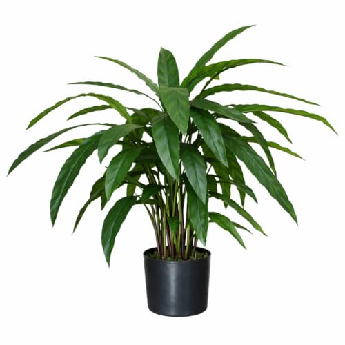 Leaf Design UK Realistic Large Artificial Foliage Plant with Pot, Calathea, 60cm