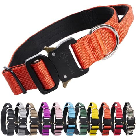 TSPRO Premium Hundehalsband mit Griff Dickes Verstellbares Taktisches Hundehalsband Schwere Ausführung Schnellverschluss Metallschnalle für Mittelgroße bis Große Hunde (Orange M)