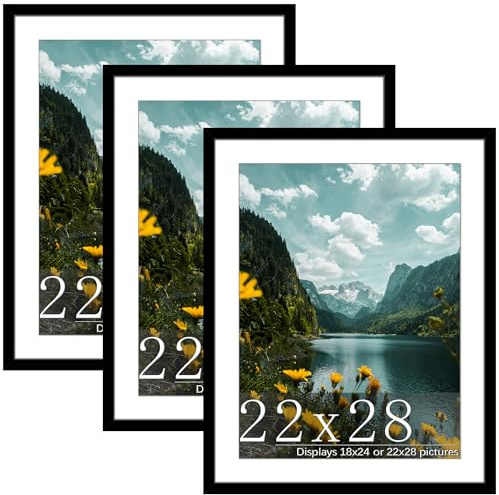 Picrit 22x28 Black Poster Frame, Picture Frame for Wall, 3 Pack