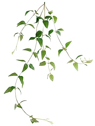 Cabilock 2 Stück Künstliche Blumen-Zimmerpflanzen Künstliche Clematis-Rebe Künstliche Bäume Grüner Kranz Künstliche Zimmerpflanzen Künstliche Girlande Künstliches Grün Ranken Grüne, 817U7YWT5806W0B