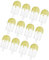 Iuhtrb 12pcs Candy Écoute avec Couvercle Clear Anniversaires Sweets Sweets Conteneurs Rangement en Plastique pour Les Collations Bijoux Supplies Fête