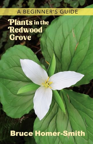 Plants in the Redwood Grove: A Beginner's Guide