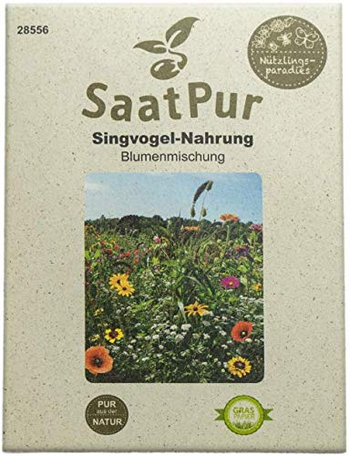SaatPur Sommerblumen Singvogel - Nahrung