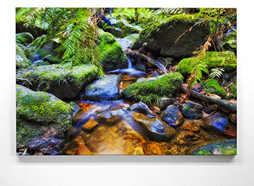 BilderKing Wald Leinwand, Motiv – Bachlauf - als 90x60cm großes Leinwandbild. Ein wunderschönes Wandbild als Hintergrund und Deko für Wohnzimmer & Schlafzimmer. Aufgespannt auf Holzrahmen