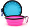COLLAPSIBLE 2-Pack Small Dog Travel Bowl, Collapsible Bowls for Dogs, Foldable Cat Water Bowl, Portable Pet Feeding Watering Traveling Dish (Pink & Light Blue)