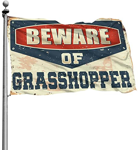 Flagge für Zimmer, Jungs, Vorsicht vor Grashüpfer, Türdekoration, Gartenflaggen, Frühling und Sommer, VV (60 x 90 cm)