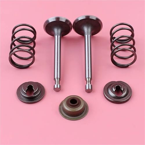LALAL Set di guarnizioni for stelo molla di ritegno valvola di aspirazione e scarico for motore tosaerba Honda GX160 GX200 5,5 HP 6,5 HP pezzo di ricambio
