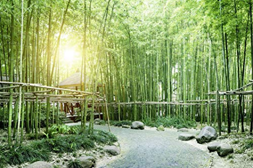 Scenolia Tableau Verre Acrylique, Impression avec Blanc de Soutien, 90 x 60 cm