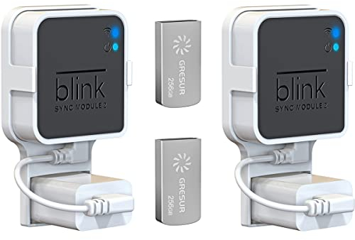 256GB Blink USB Flash Drive for Local Video Storage with The Blink Sync Module 2 Mount (Blink Add-On Sync Module 2 is NOT Included),2Pack
