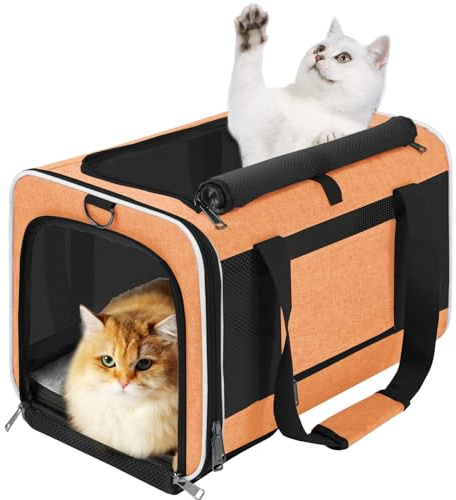 GAPZER Große Katzentragetasche, weich, zusammenklappbar, für kleine Hunde | Große Kitty Katze 9,1 kg Maine Coon Top Load Transport Kleine Welpen Hundehütte Yorkie Kleiner Hund 4,5 kg Stabiler Stoff