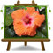 EURO PLANTS VIVAI Hibiscus Tahiti Orange plante ornementale sur pot de 14 cm. * Hauteur 20 cm