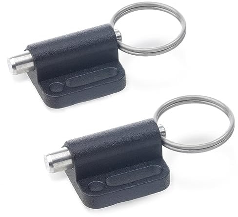 Ganter Normelemente | Rastbolzen mit Zugring | 2 Stück | GN 417-4-A