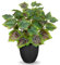 Oairse Plantas artificiales de 37 cm para interiores con macetas negras, plantas decorativas en maceta, plantas falsas realistas de hoja de uva sintética para el hogar, oficina, cocina, baño, sala de
