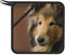 Rough Collie Lassie Cani Grandi cani soffici Animali domestici, Presine, Presine da cucina in silicone anti-caldo, resistenti al calore
