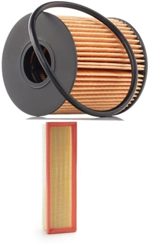 RIDEX 4055F1042 Filterset mit Luftfilter ohne Ölablassschraube mit Dichtring passend für PEUGEOT 207 (WA, WC)