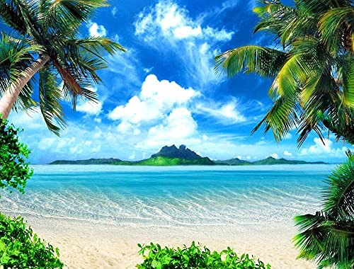 Haosphoto 9X6FT Seaside Sand Beach Backdrop Island Coconut Palm Blue Sky White Cloud Nature Summer Journey Ocean Sailing Vinyl Photography Background Kids Adults Wedding Photo Studio Props RM112
