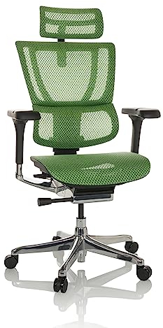 hjh OFFICE Bürostuhl ergonomisch ERGOHUMAN Slim GEN2 Originales Design, 24h Einsatz, Drehstuhl mit Flexibler Lordosenstütze, Netz Grün