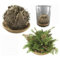 2 pezzi Rosa di Jerico SIGNUM Gerico Deserto Fiore Resurrezione Pianta Fiore Verde