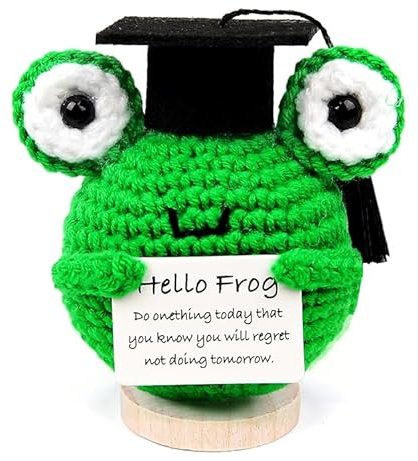 COLEESON Bachelor Geschenk 2025, Pocket Hug Positive Frosch, Glücksbringer Prüfung Geschenk, Mutmacher Geschenk, Bachelor Graduation Abi 2025 Geschenke