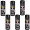 DIOXSTAR Black Satin Spray Paint, Quick Drying Formula, Aerosol Spray Paint, Indoor & Outdoor, Excellent Coverage For Metal, Wood, Plastic Etc, 250ml, 6PCS