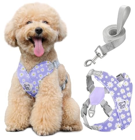 Pawaboo Puppy Harness and Lead Sets, Small Dog Harness X-Frame No Pull No Choke, Dog Vest Harness Adjustable for Small Medium Sized Dogs, Soft Breathable Pet Harness Walking Outing, M, Purple Daisy
