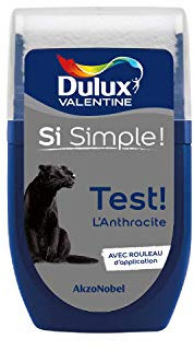 Dulux Valentine Peinture Si Simple - Testeur Couleur l'Anthracite 30 ml