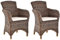 Krines Home 2er Set Esszimmersessel Rattan Esszimmerstuhl mit Armlehne Rattansessel Korbstuhl Esszimmer Sessel (Braun Natur)