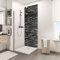 Schulte 1 panneau mural l.100 x h.210 cm, épaisseur 3 mm, surface 2.1 m², revêtement salle de bain douche, résistant aux rayures, parement ardoise, DécoDesign, livré avec adhésif double face