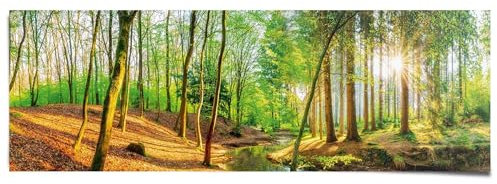 REINDERS Poster, Sonniger Wald, Wohnzimmer, Bilder, Wanddeko, Room Decor, 170 gr. glänzend Bilderdruckpapier, Grün, 53x158cm