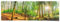 REINDERS Poster, Sonniger Wald, Wohnzimmer, Bilder, Wanddeko, Room Decor, 170 gr. glänzend Bilderdruckpapier, Grün, 53x158cm