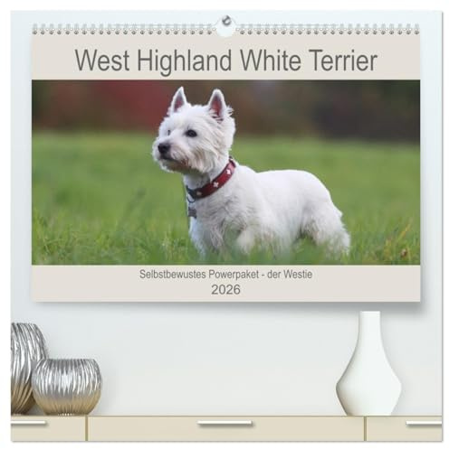 West Highland White Terrier - Selbstbewustes Powerpaket - der Westie (hochwertiger Premium Wandkalender 2026 DIN A2 quer), Kunstdruck in Hochglanz: ... festgehalten worden. (CALVENDO Tiere)