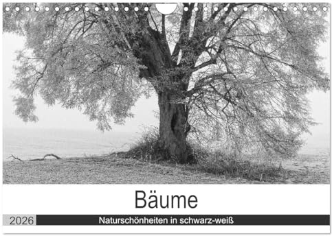 Bäume - Naturschönheiten in schwarz-weiß (Wandkalender 2026 DIN A4 quer), CALVENDO Monatskalender: Ausdrucksstarke Bäume als schwarz-weiß Fotografie (CALVENDO Natur)