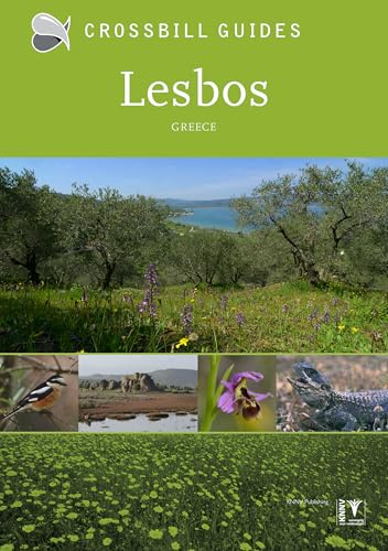 Crossbill Guides Lesbos Greece