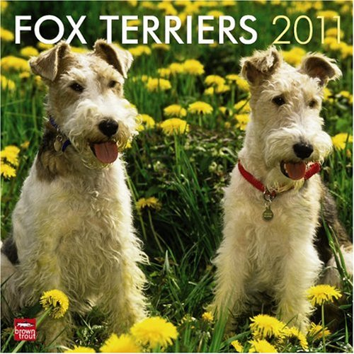 Wire Fox Terriers 2011