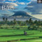 Bali 2020 - 16-Monatskalender: Original The Gifted Stationery Co. Ltd [Mehrsprachig] [Kalender] (Wall-Kalender)