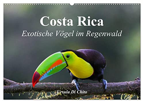 Costa Rica - Exotische Vögel im Regenwald (Wandkalender 2025 DIN A2 quer), CALVENDO Monatskalender