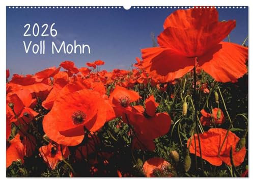 Voll Mohn (Wandkalender 2026 DIN A2 quer), CALVENDO Monatskalender: Mohnblüten in Rheinhessen (CALVENDO Natur)