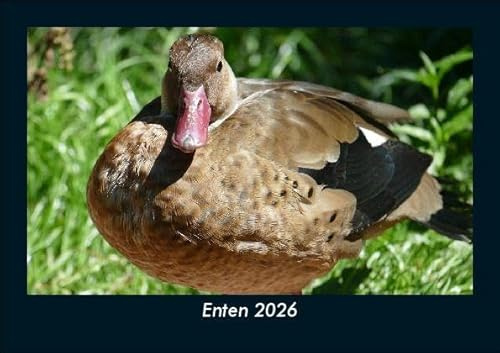 Enten 2026 Fotokalender DIN A5: Monatskalender mit Bild-Motiven von Haustieren, Bauernhof, wilden Tieren und Raubtieren