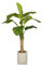 HJH Office Pianta Artificiale Banane I 150 cm Pianta Artificiale Decorativa, pianta di banano di Facile Manutenzione, Albero Artificiale per Soggiorno Camera da Letto Ufficio